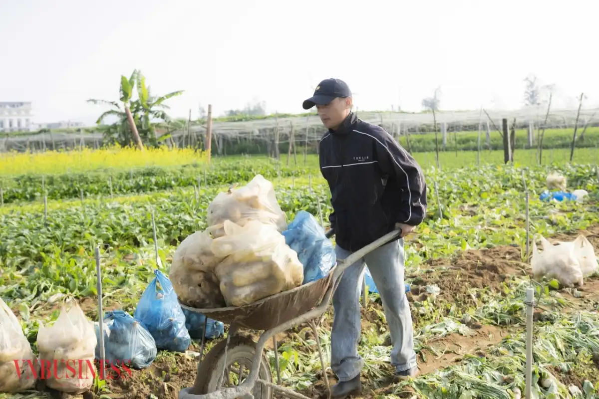 Chế biến sâu nông sản, 9X Nghệ An biến rau củ thành sản phẩm giá trị cao