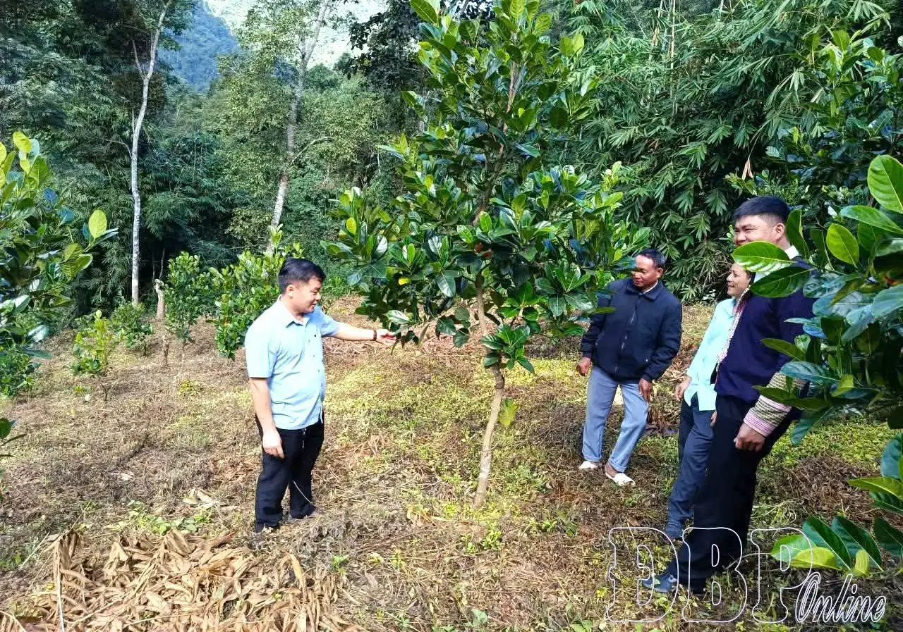 Chủ động triển khai chương trình mục tiêu quốc gia