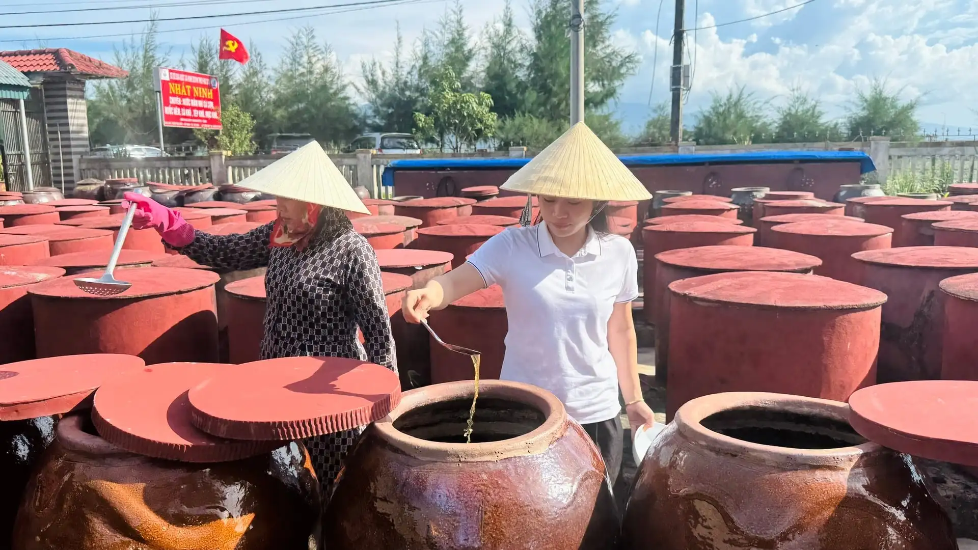 Chứng nhận OCOP – đòn bẩy cho nông sản vươn thị trường lớn