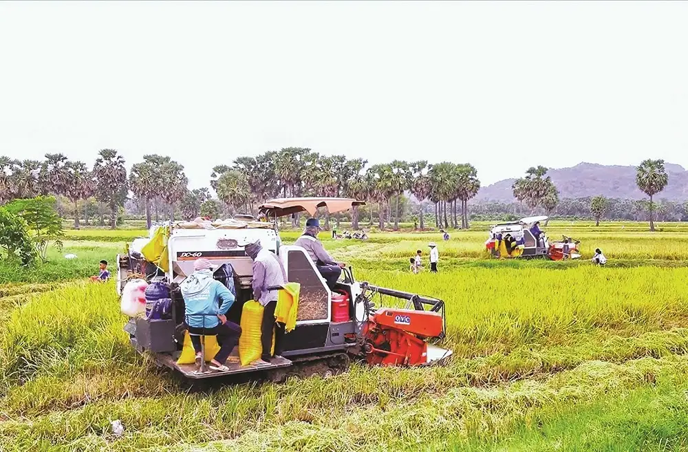 Chương trình mục tiêu quốc gia: Giai đoạn mới – đột phá mới