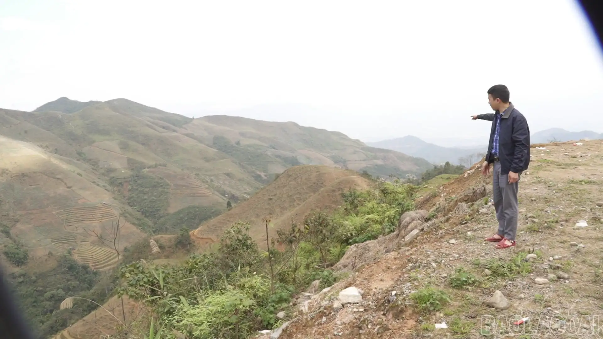 Chuyển đổi cây trồng trên đất dốc – hướng đi giảm nghèo bền vững