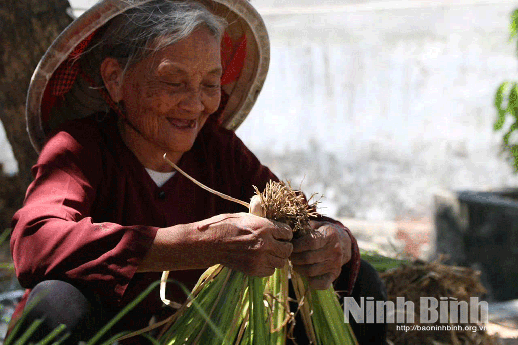 Cô gái 9X, khởi nghiệp thành công từ mô hình kinh tế xanh