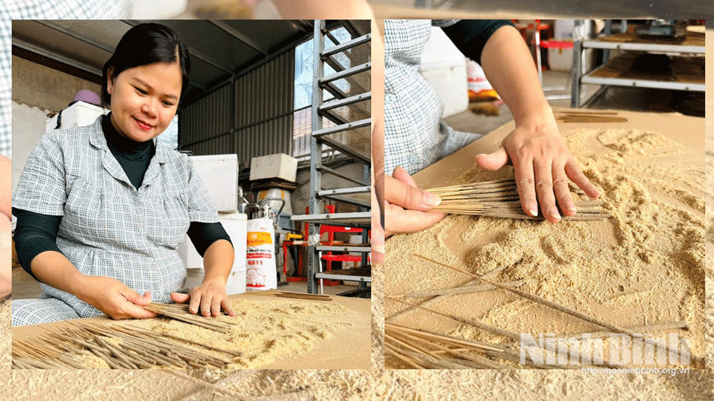 Cô gái 9X, khởi nghiệp thành công từ mô hình kinh tế xanh