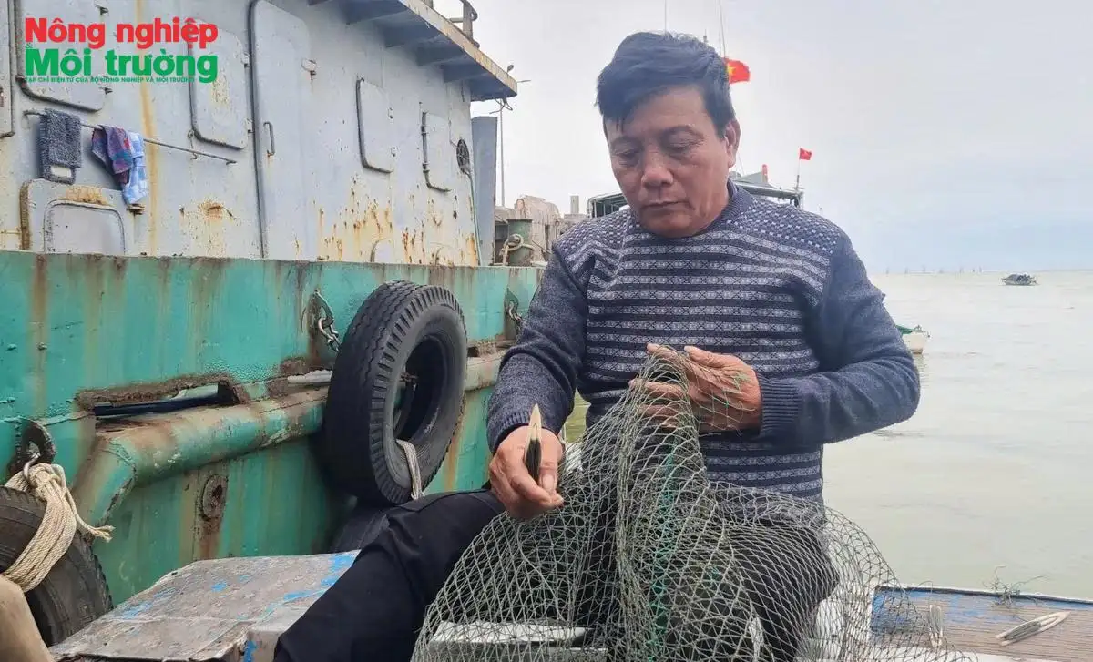 Cơn bão giá dầu “đè nặng” vai ngư dân