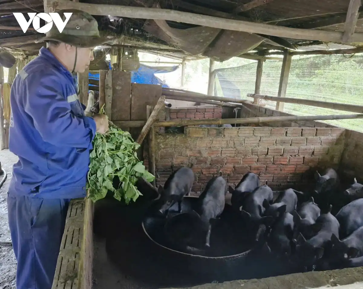 Đa dạng mô hình giảm nghèo ở miền núi Đà Nẵng