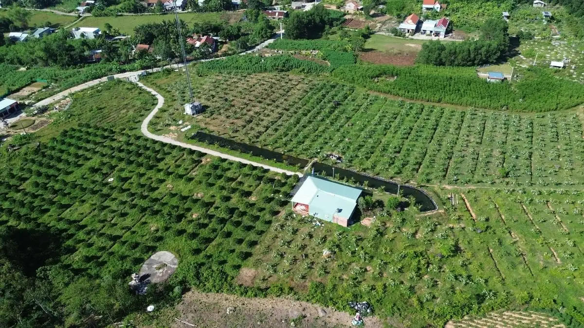 Đà Nẵng nở rộ nông nghiệp ứng dụng công nghệ số