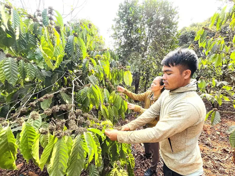 Đak Sơmei thay đổi nếp nghĩ, cách làm để giảm nghèo bền vững