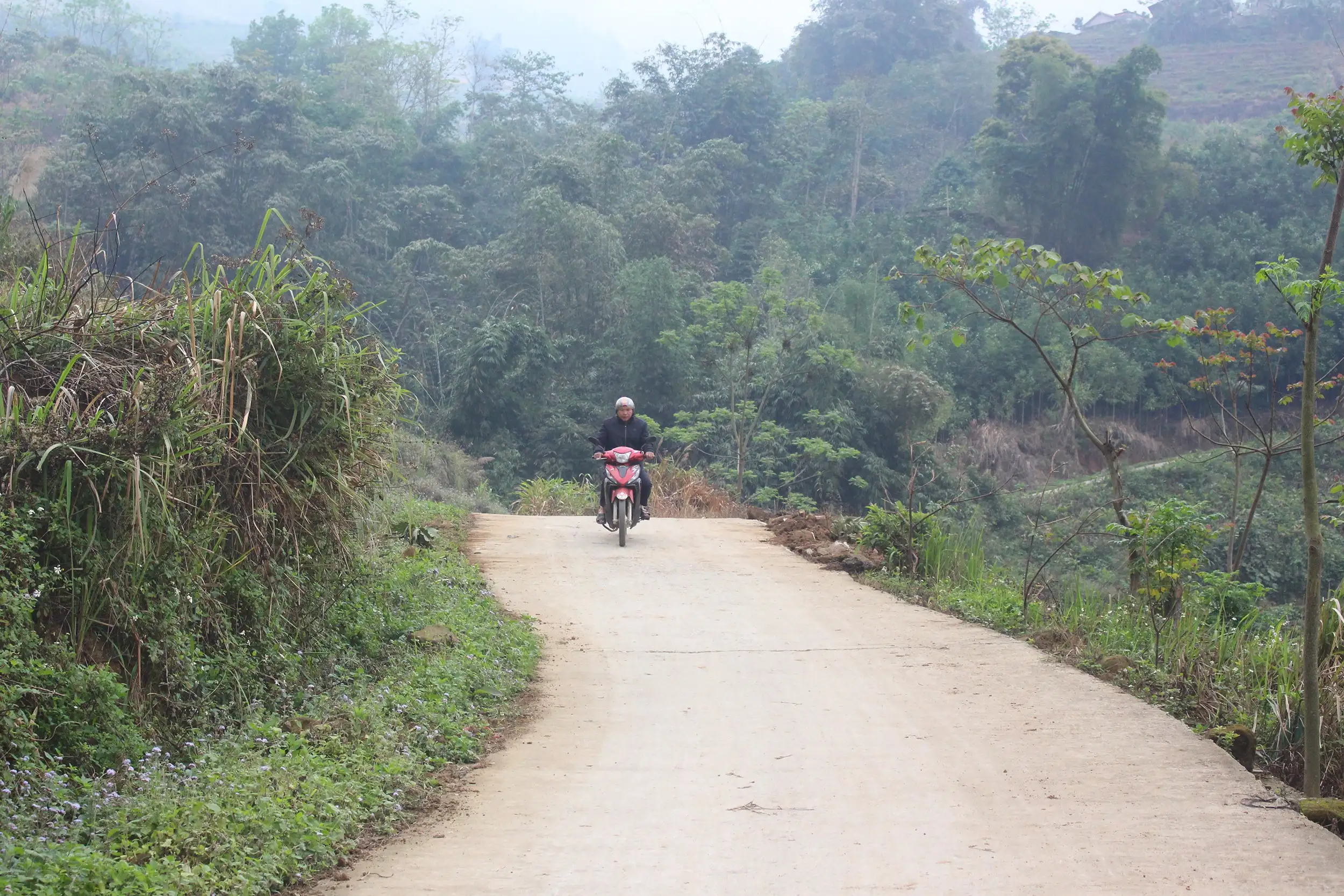 Đảng viên đi trước trong xây dựng nông thôn mới ở Bản Xèo