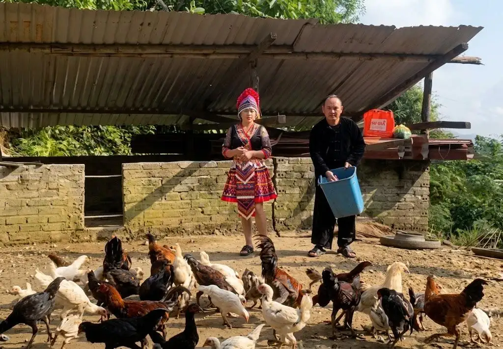 Đánh thức hồn đất quê hương qua khát vọng vươn tầm sản phẩm OCOP xứ Thanh