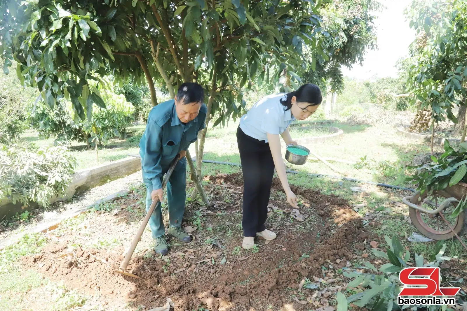 Đẩy mạnh xúc tiến thương mại, xuất khẩu hàng hóa