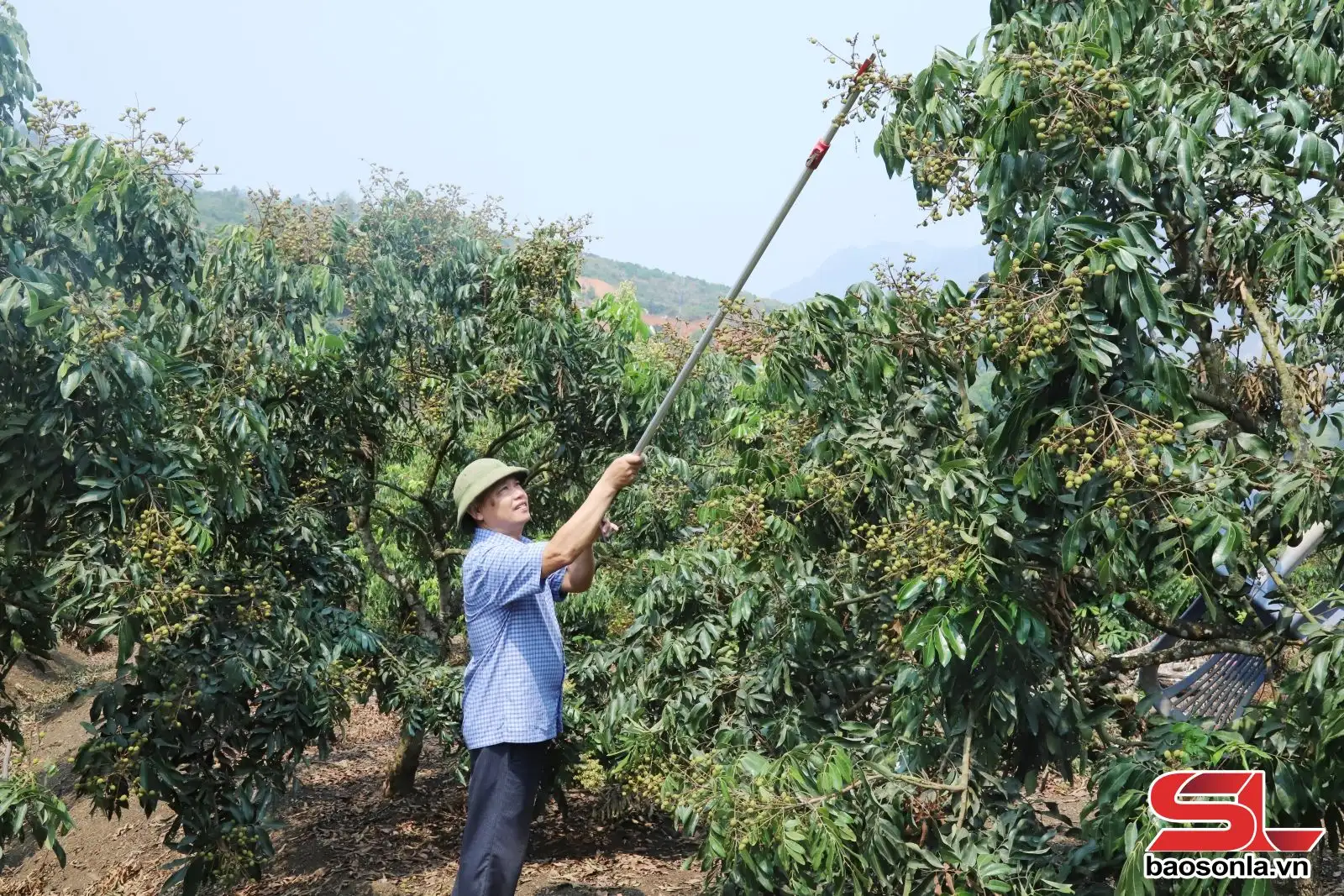 Đẩy mạnh xúc tiến thương mại, xuất khẩu hàng hóa