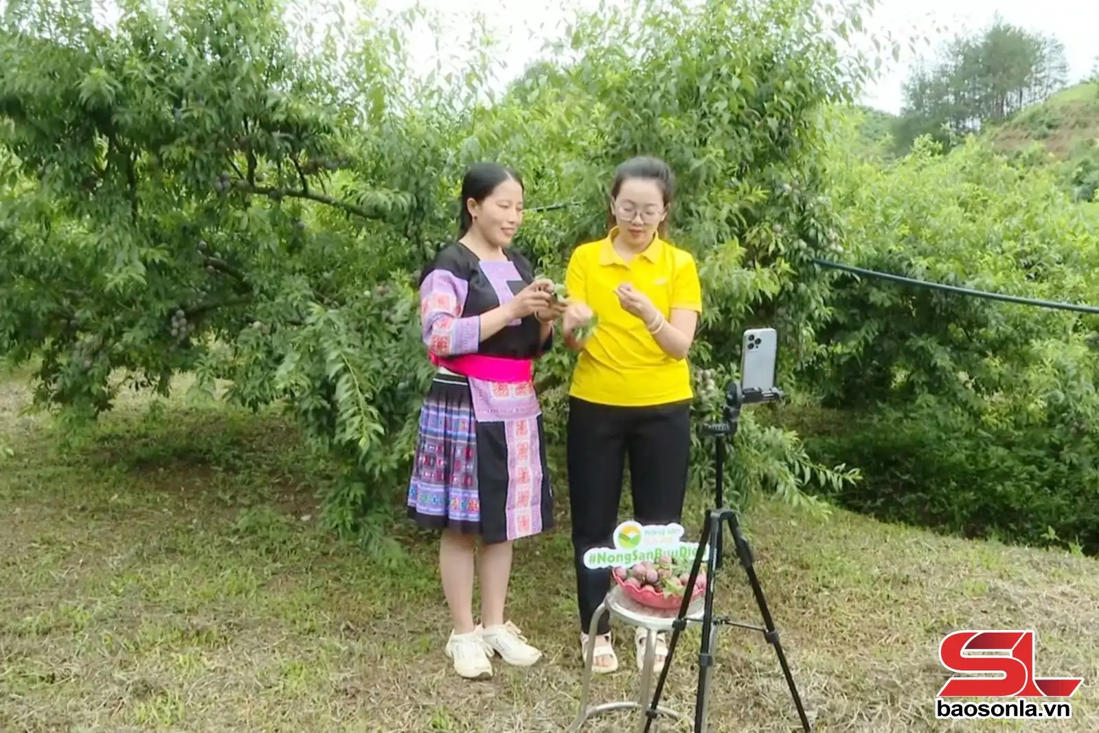 Đẩy mạnh xúc tiến thương mại, xuất khẩu hàng hóa