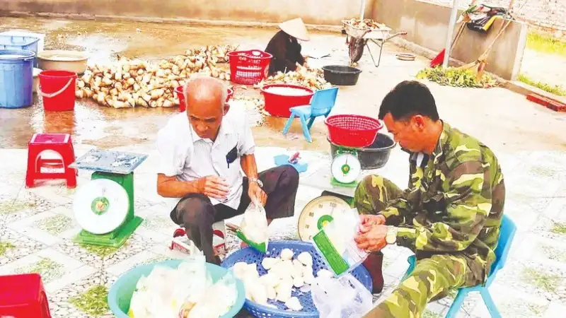 Điểm tựa thoát nghèo