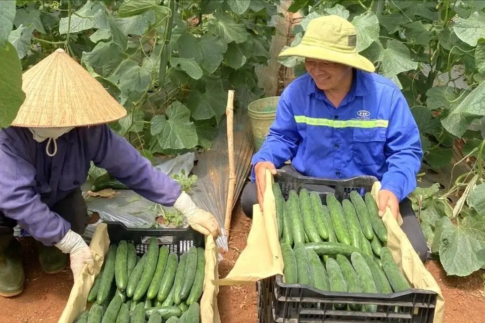 Định hình mới cho hợp tác xã số