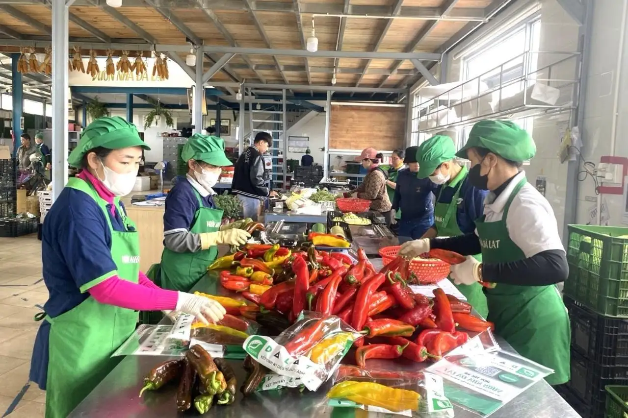 Định hình mới cho hợp tác xã số