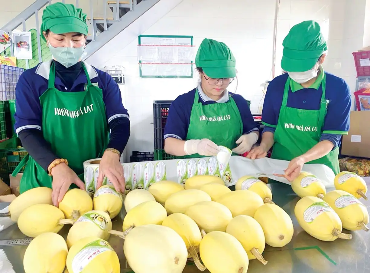 Định hình mới cho hợp tác xã số