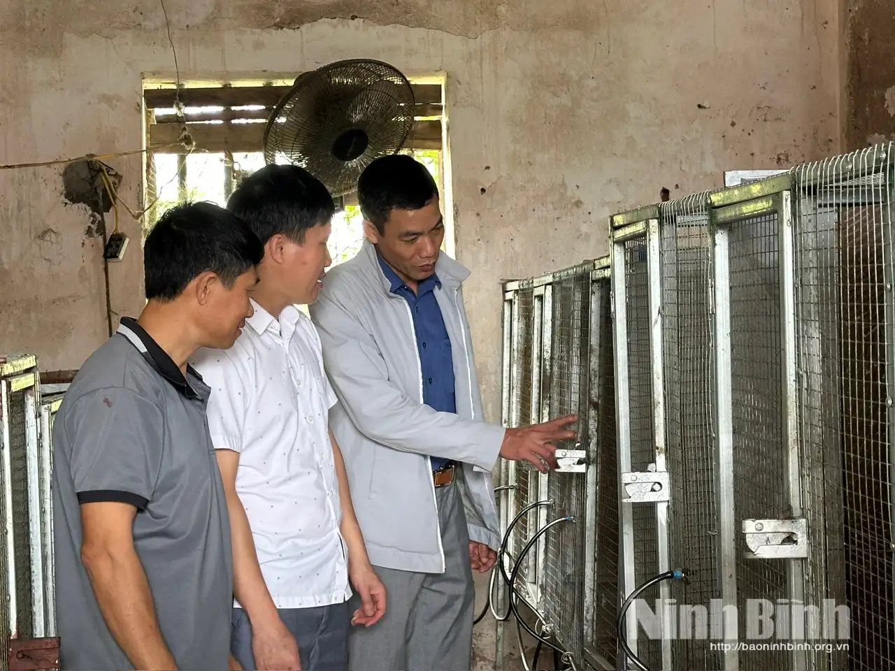 Định Hóa: Đánh thức tiềm năng kinh tế từ con nuôi đặc sản