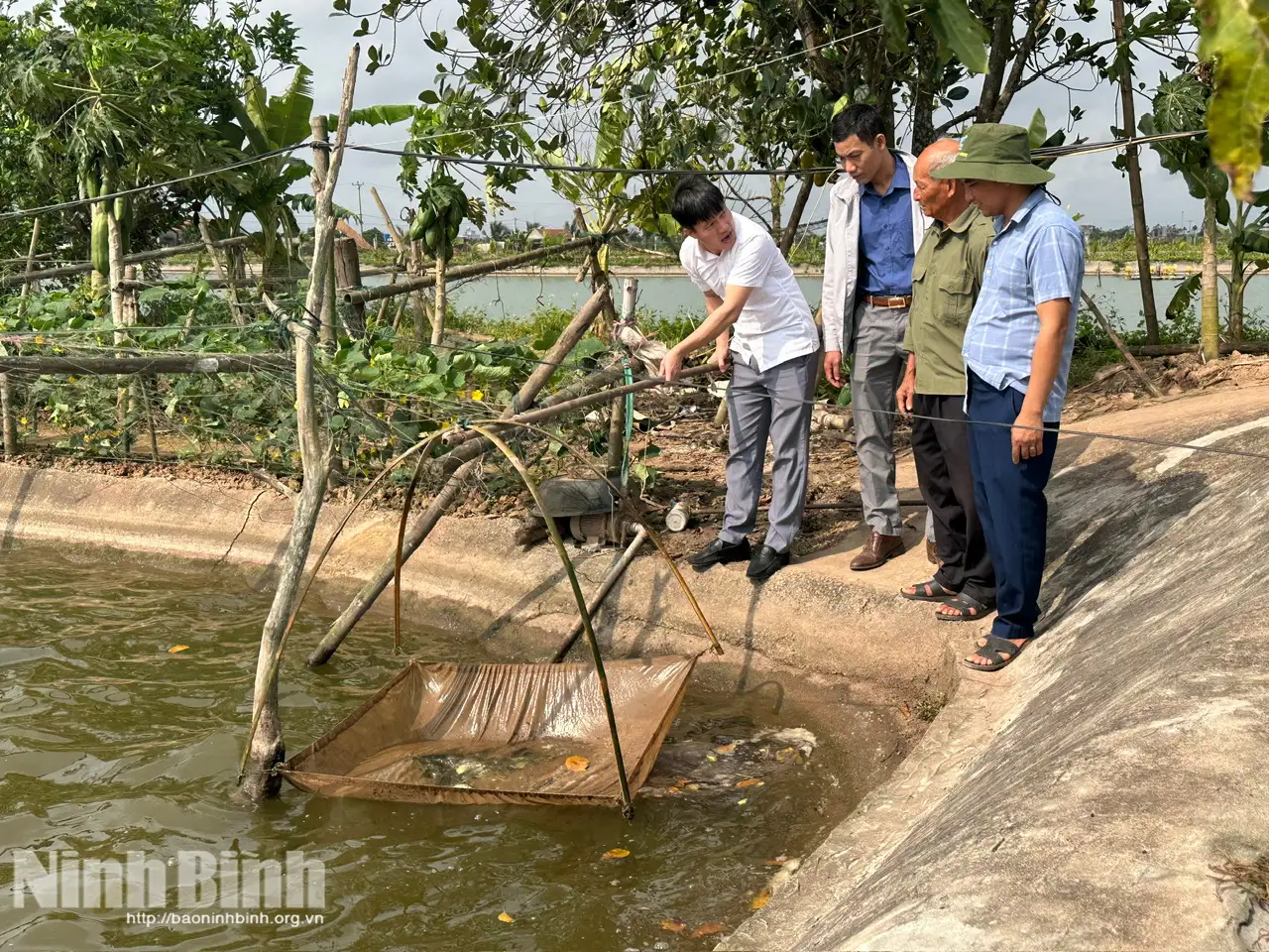 Định Hóa: Đánh thức tiềm năng kinh tế từ con nuôi đặc sản