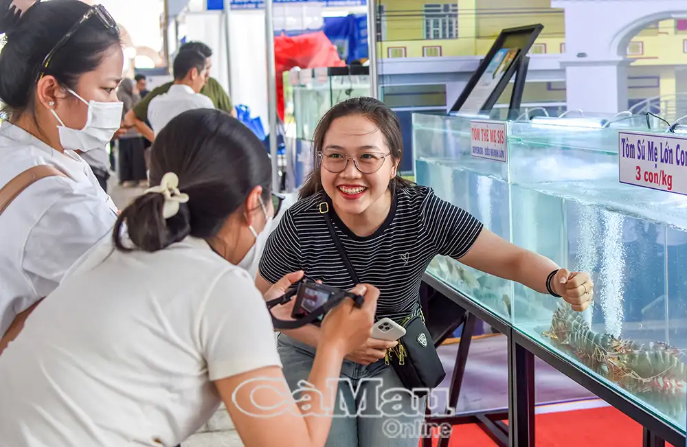 Ðịnh vị du lịch Cà Mau – Bài cuối: Phát huy giá trị từ chuỗi liên kết