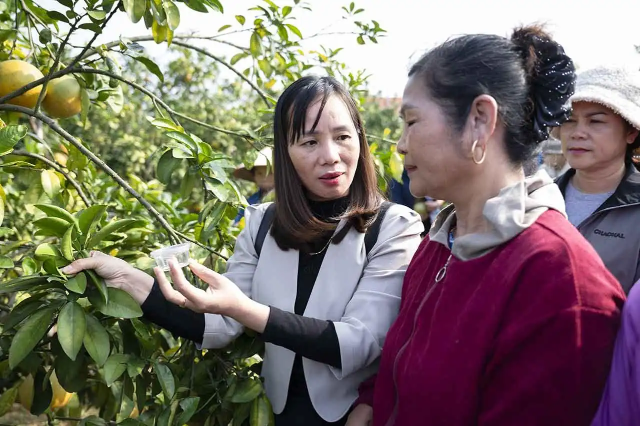 Đổi mới đào tạo nghề nông thôn đáp ứng yêu cầu hiện đại hoá nông nghiệp