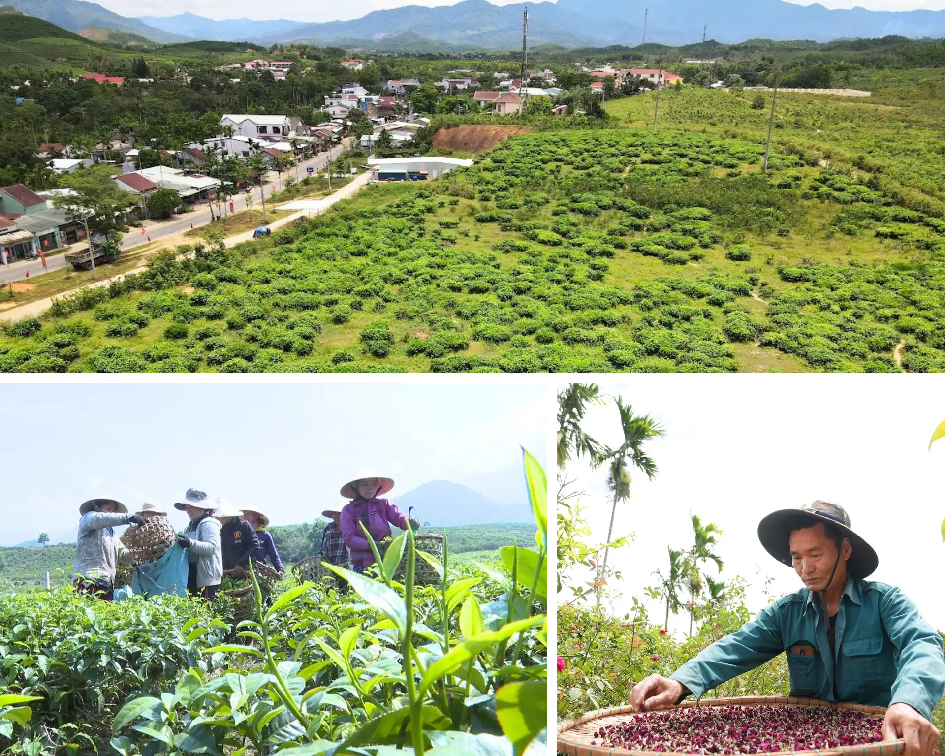 Đổi thay trên những xã an toàn khu