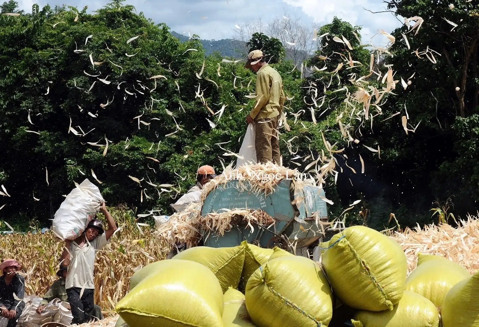 Đổi thay từ những thửa đất được cấp ở xã Đông Giang