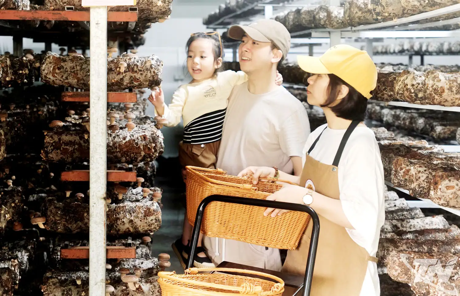 Đòn bẩy’ nâng tầm nông sản Thái Nguyên