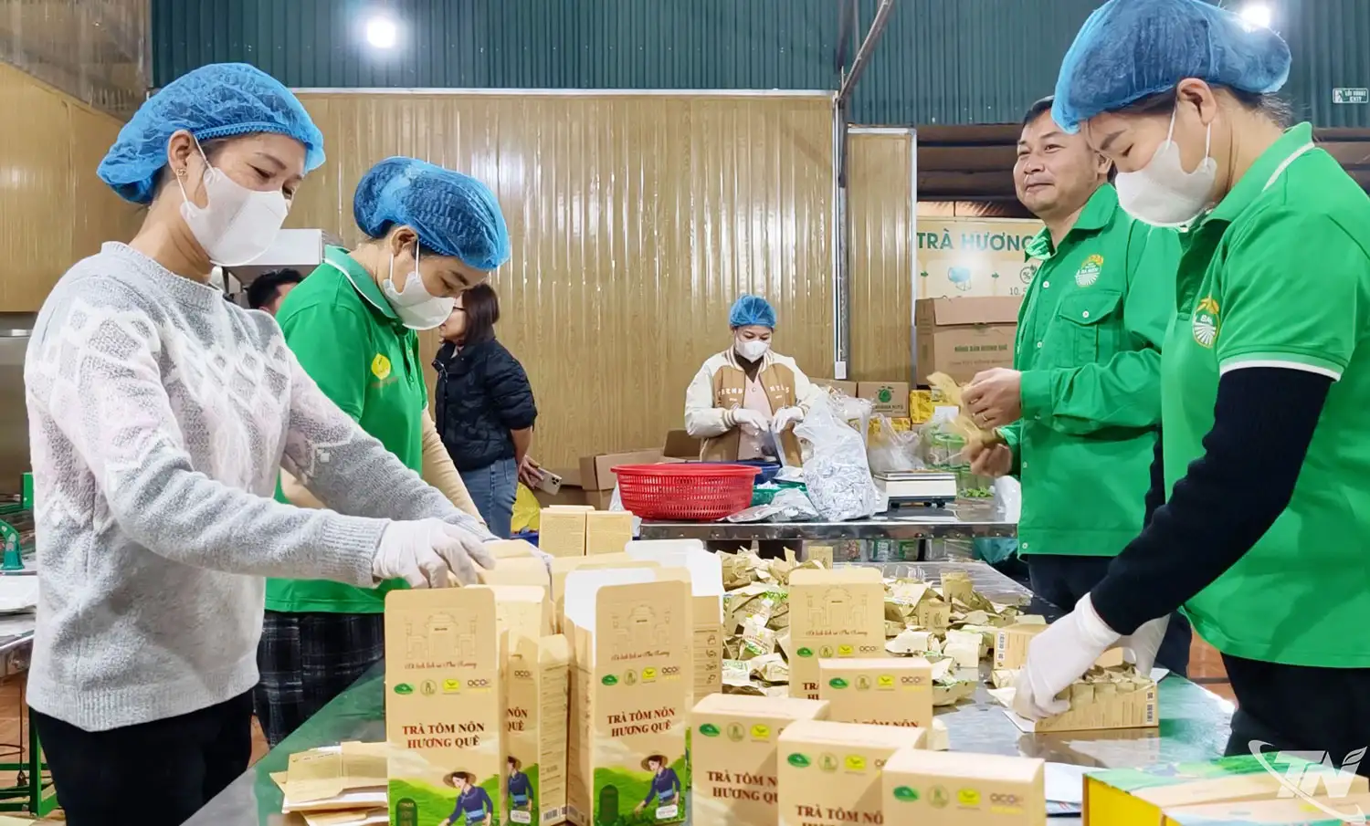 Đòn bẩy’ nâng tầm nông sản Thái Nguyên