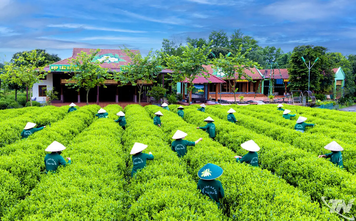 Đòn bẩy’ nâng tầm nông sản Thái Nguyên