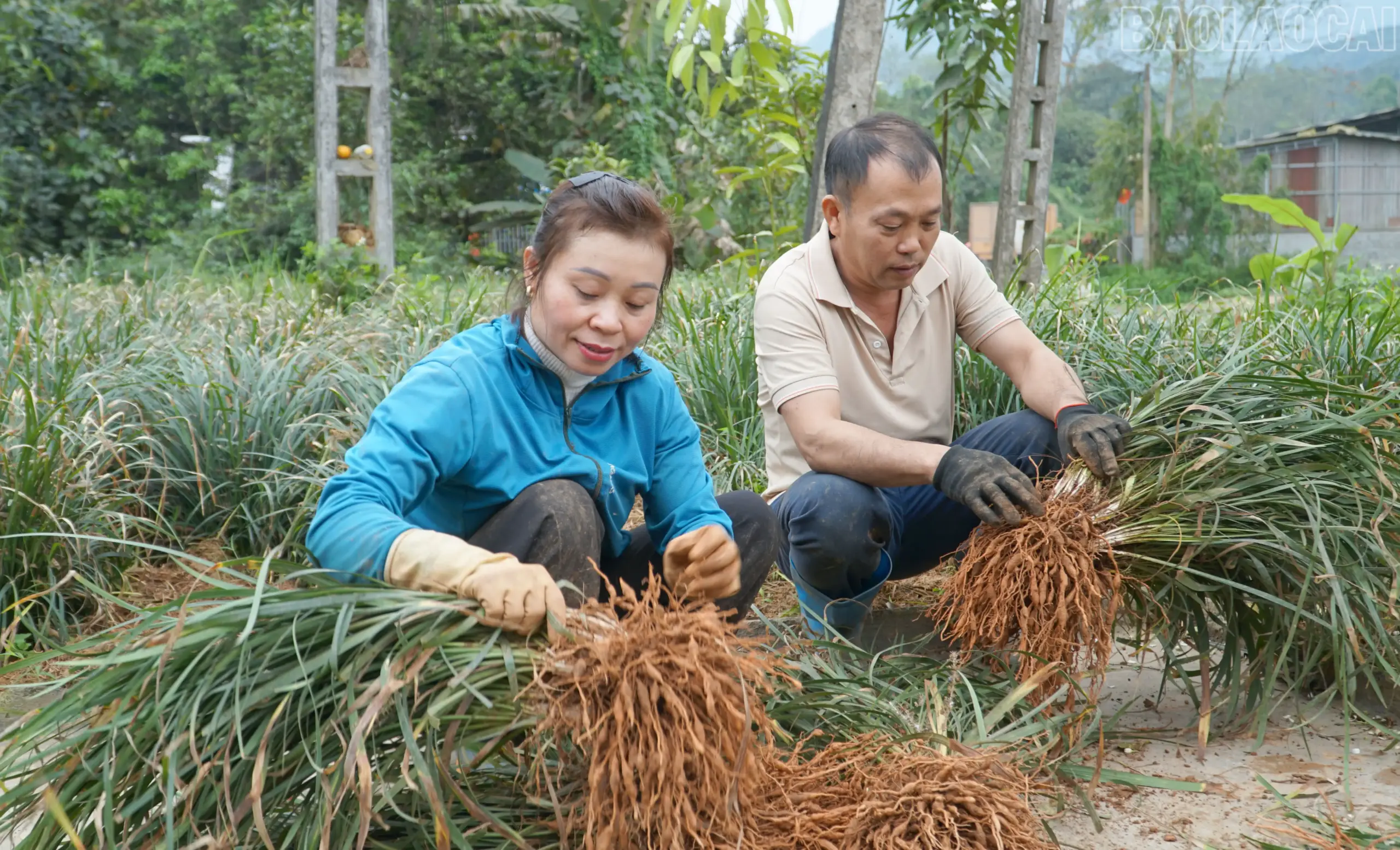 Đòn bẩy trong xây dựng nông thôn mới ở Hưng Khánh