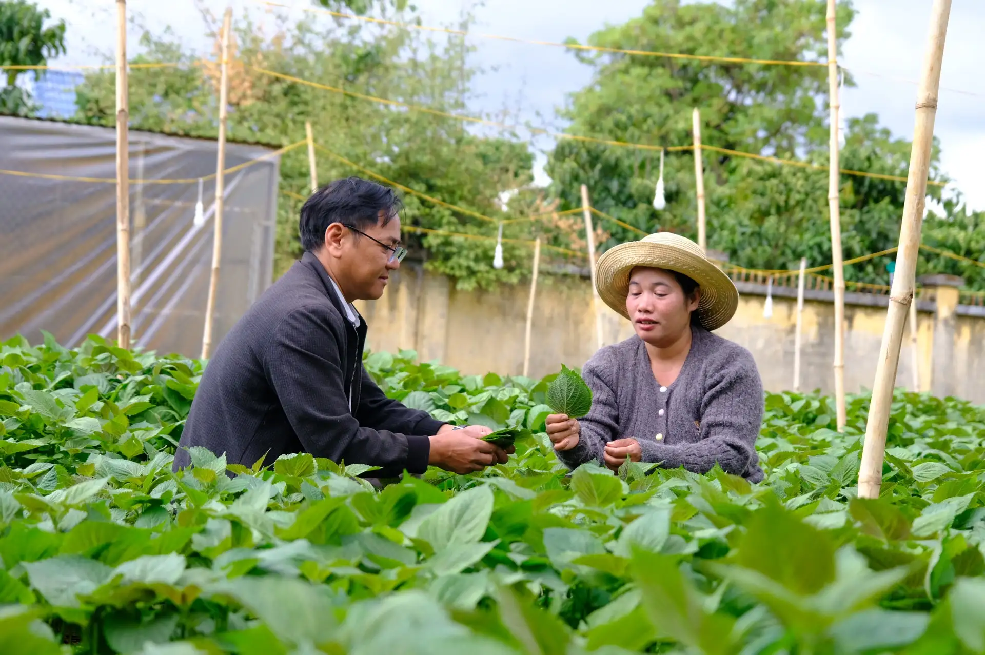 Đồng bào DTTS Tà Nung làm giàu từ nông nghiệp