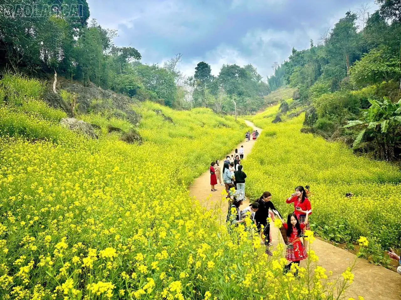 Đồng bộ giải pháp phát triển ngành kinh tế mũi nhọn