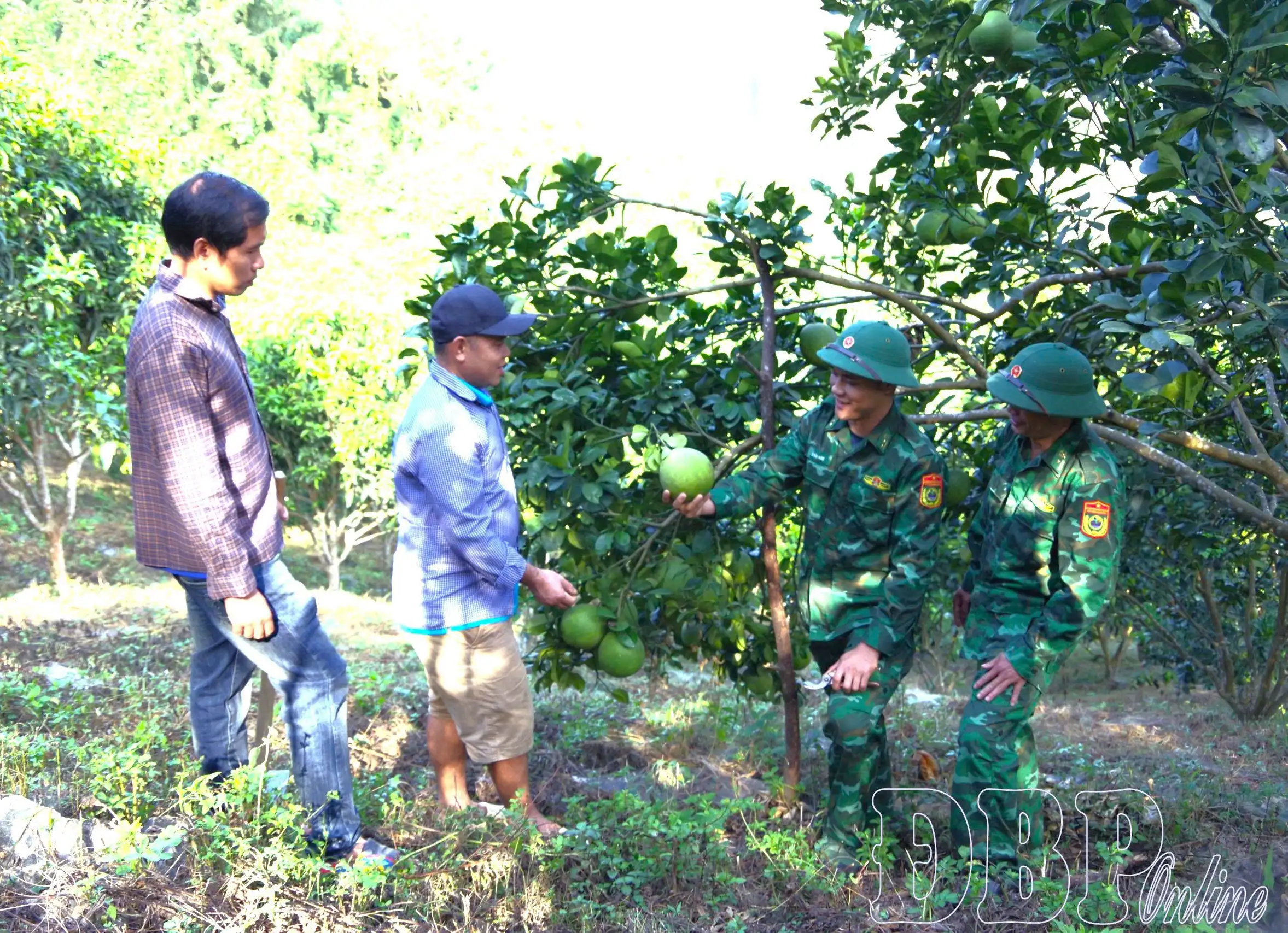 Đồng hành cùng nhân dân xóa đói, giảm nghèo