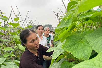 Du lịch gắn với nông thôn mới, nâng cao thu nhập người dân