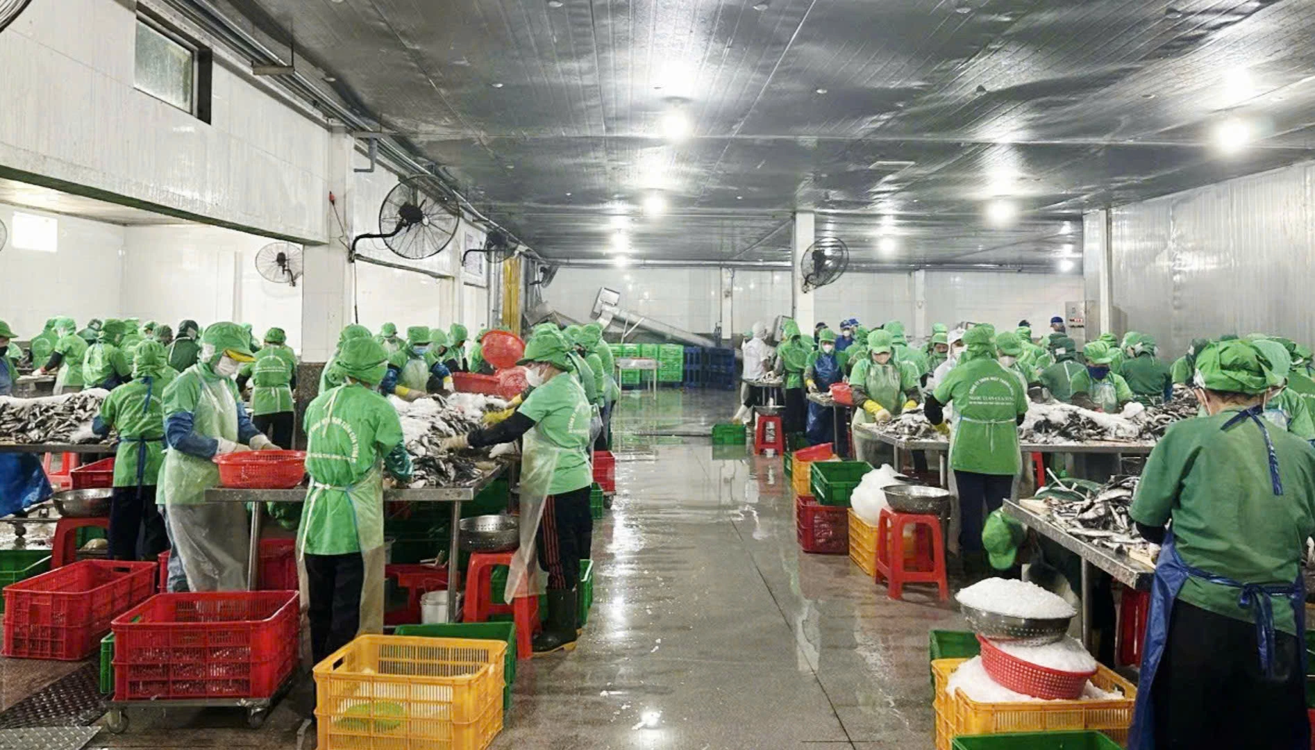 Ðưa sản phẩm đặc trưng vùng biển vươn xa