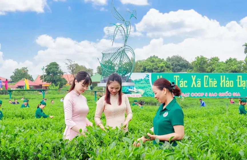 Gần 200 hợp tác xã mới được thành lập trong quý I/2026