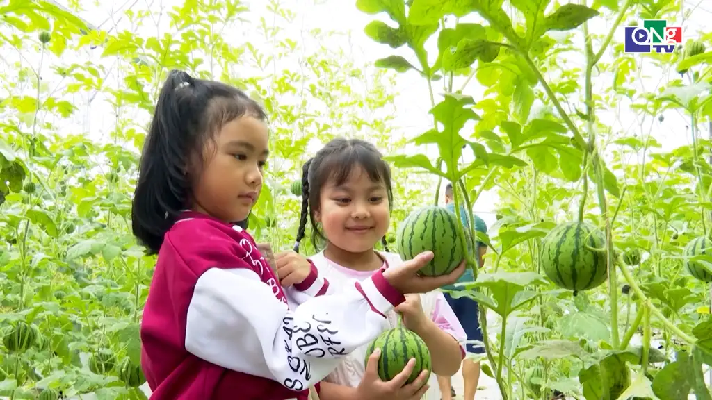 Gắn kết sản phẩm OCOP với du lịch nông thôn