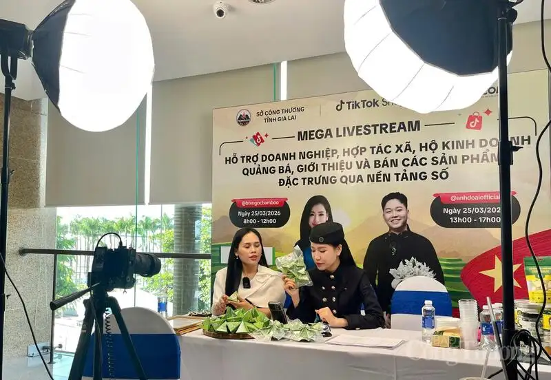 Gia Lai định hình chính sách, thúc đẩy thương mại điện tử xanh