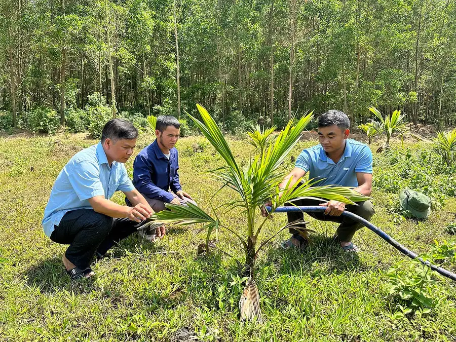 Gia Lai tạo sinh kế cho đồng bào vùng dân tộc thiểu số