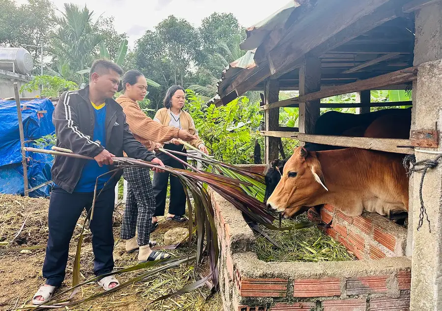 Gia Lai tạo sinh kế cho đồng bào vùng dân tộc thiểu số