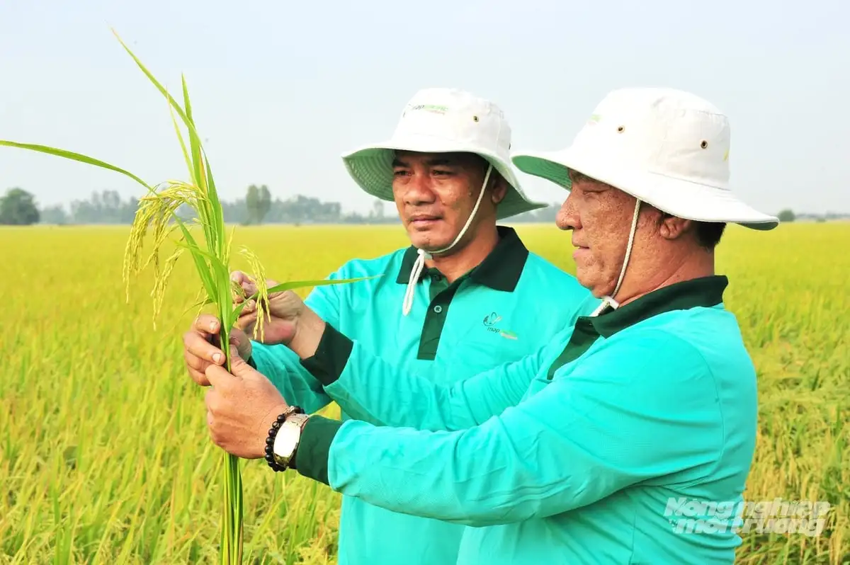Giải pháp sinh học giúp nông dân hướng đến giá trị bền vững