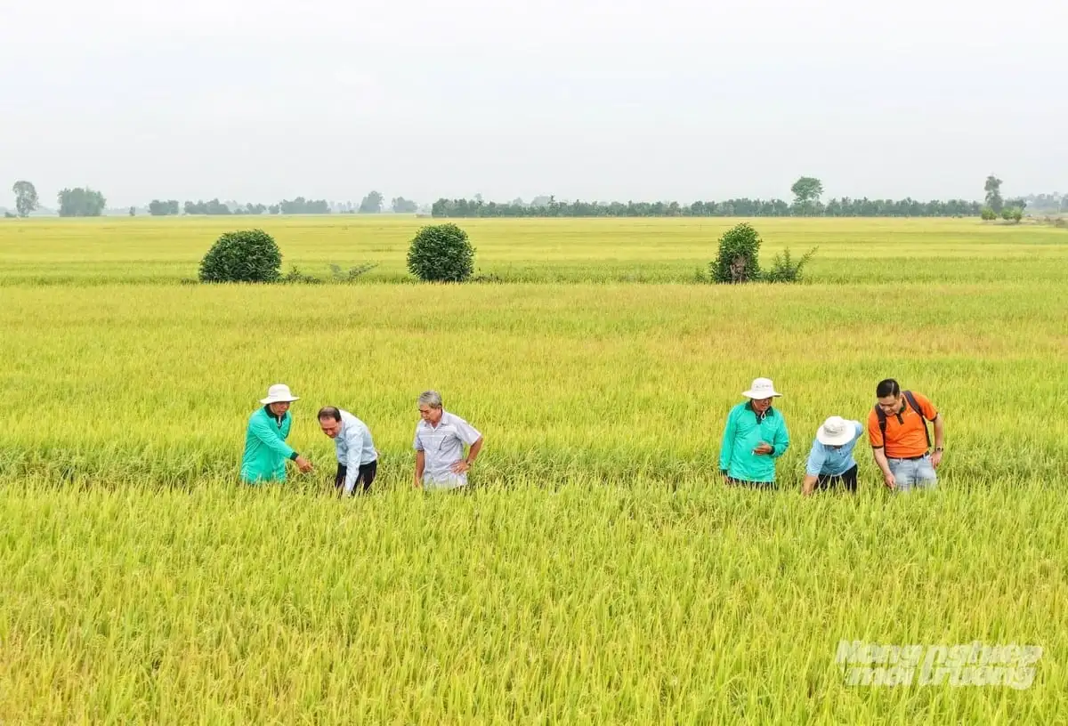 Giải pháp sinh học giúp nông dân hướng đến giá trị bền vững