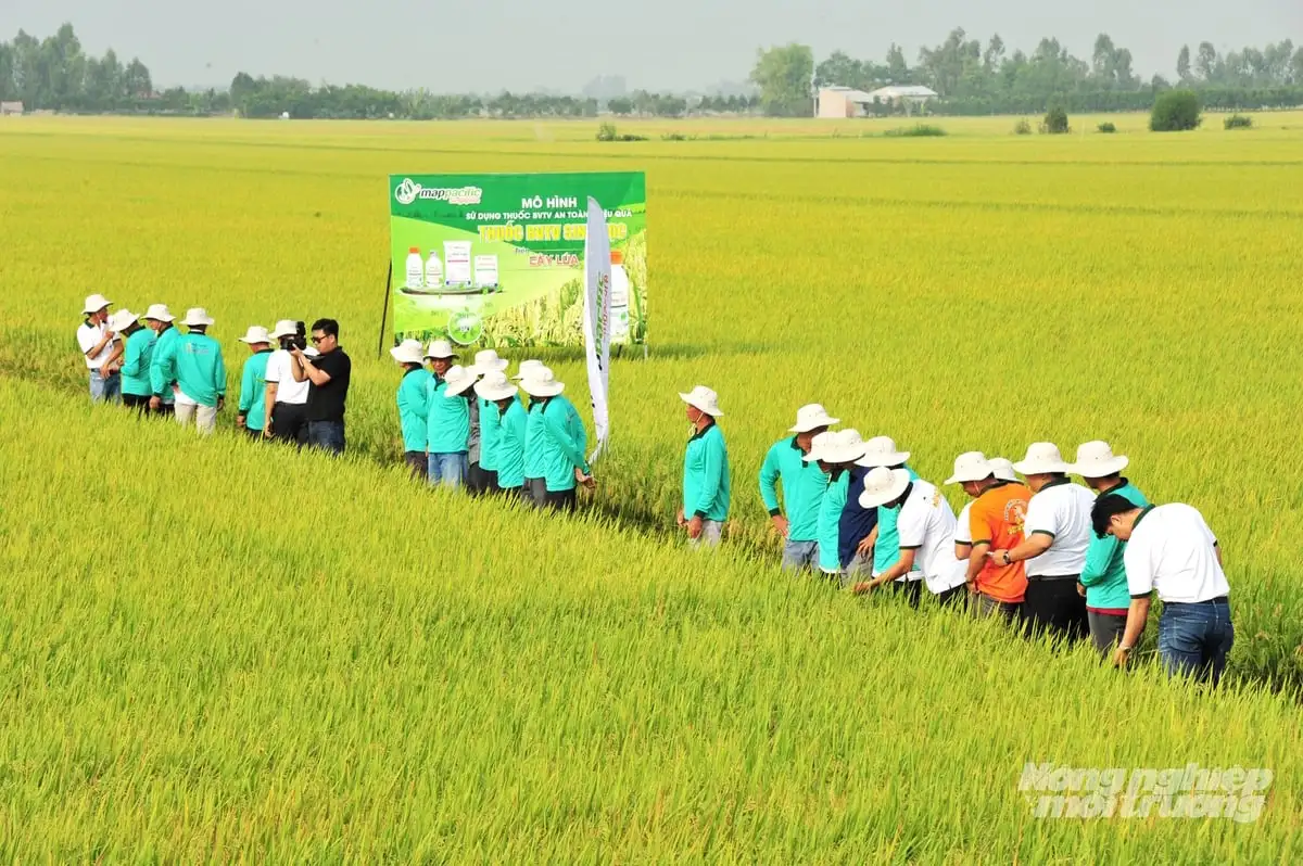 Giải pháp sinh học giúp nông dân hướng đến giá trị bền vững