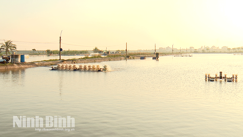 Giao Phúc – điểm sáng trong xây dựng nông thôn mới kiểu mẫu