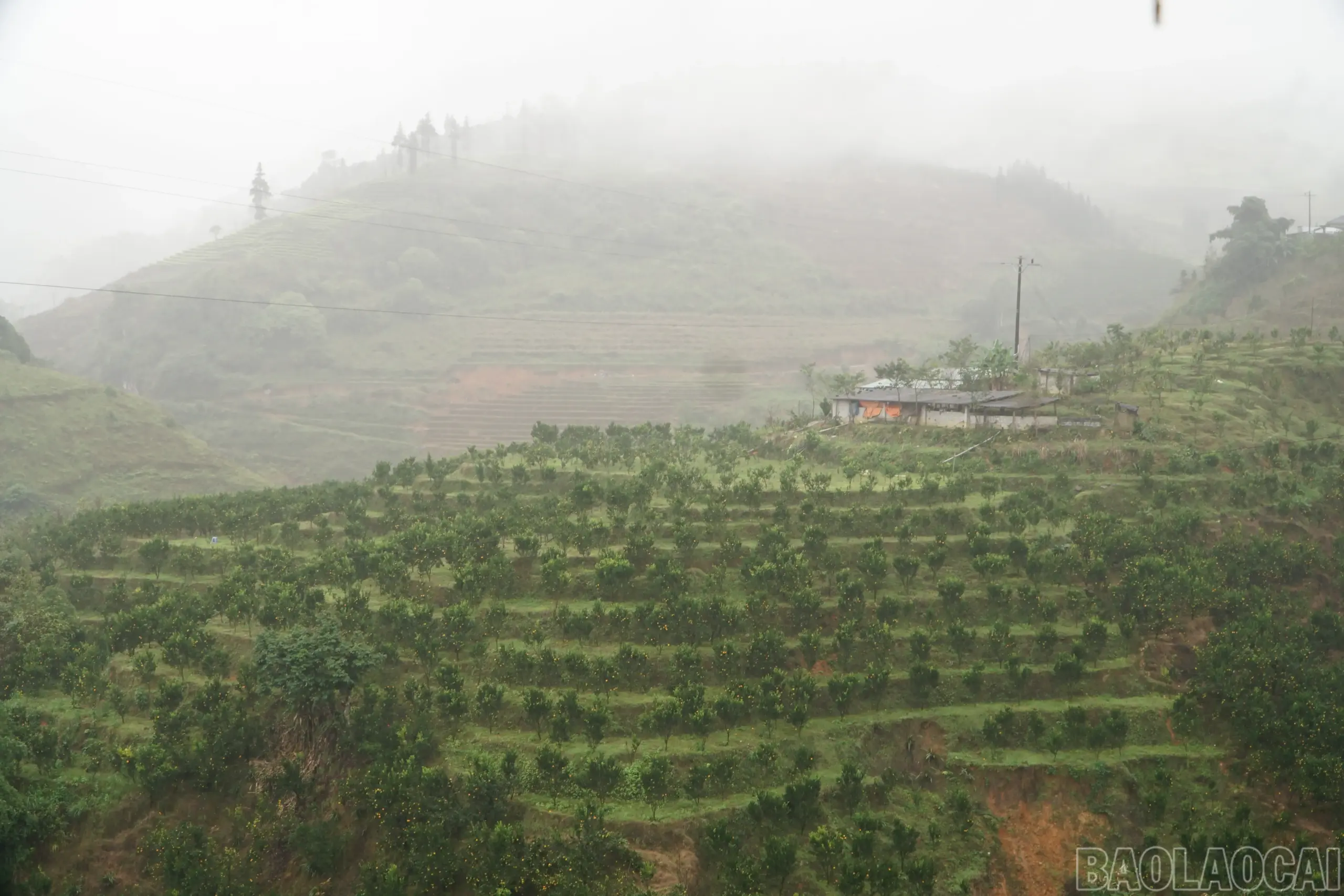 Gieo mầm xanh trên núi đá