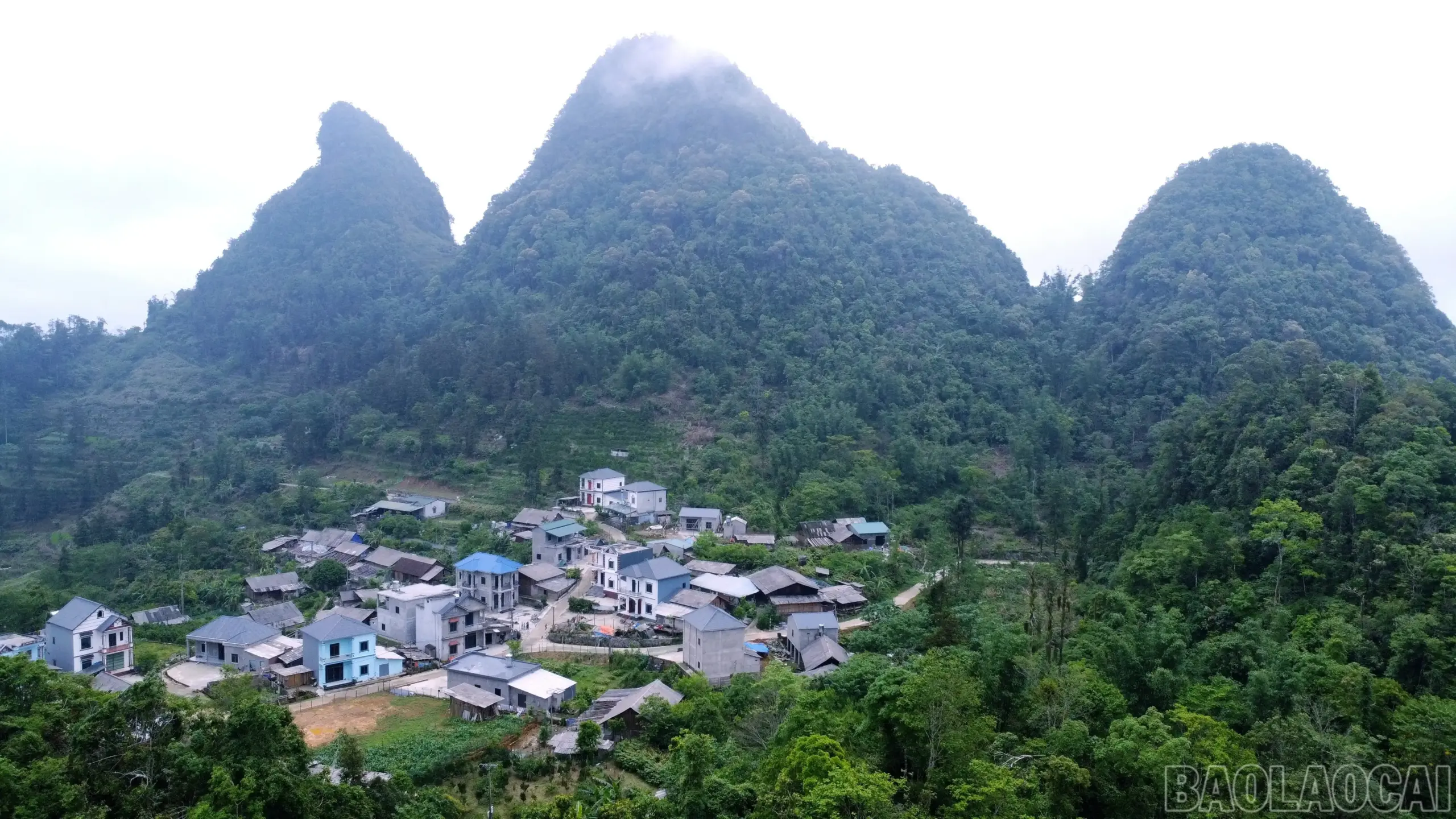 Gieo mầm xanh trên núi đá