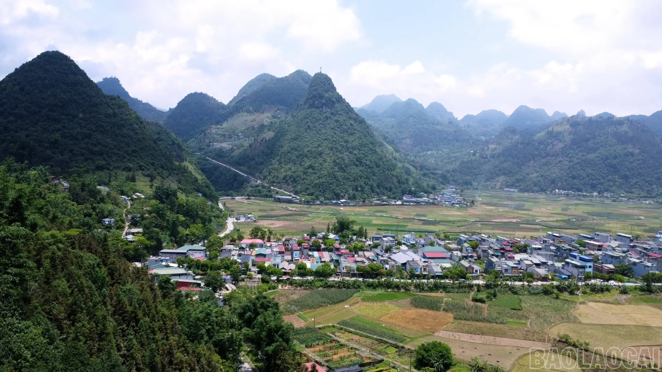 Gieo mầm xanh trên núi đá