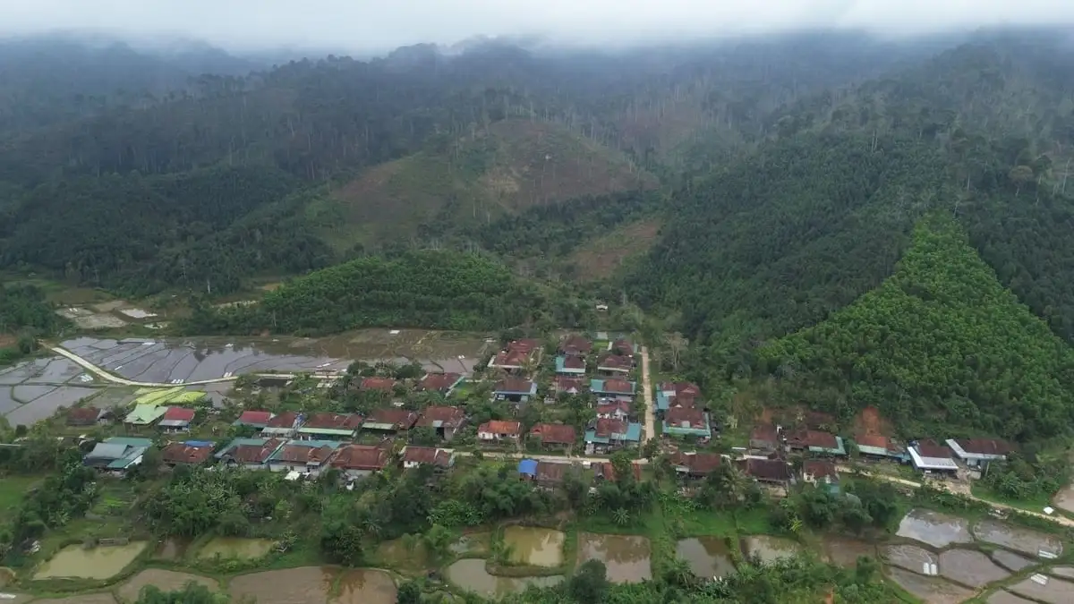 Gieo ‘sinh kế xanh’ nơi núi rừng biên cương