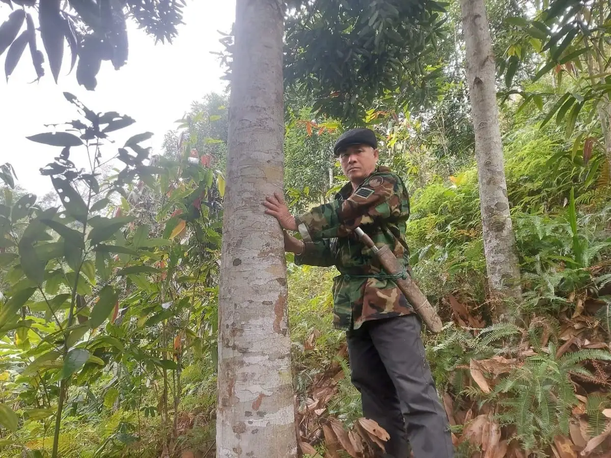 Gieo ‘sinh kế xanh’ nơi núi rừng biên cương