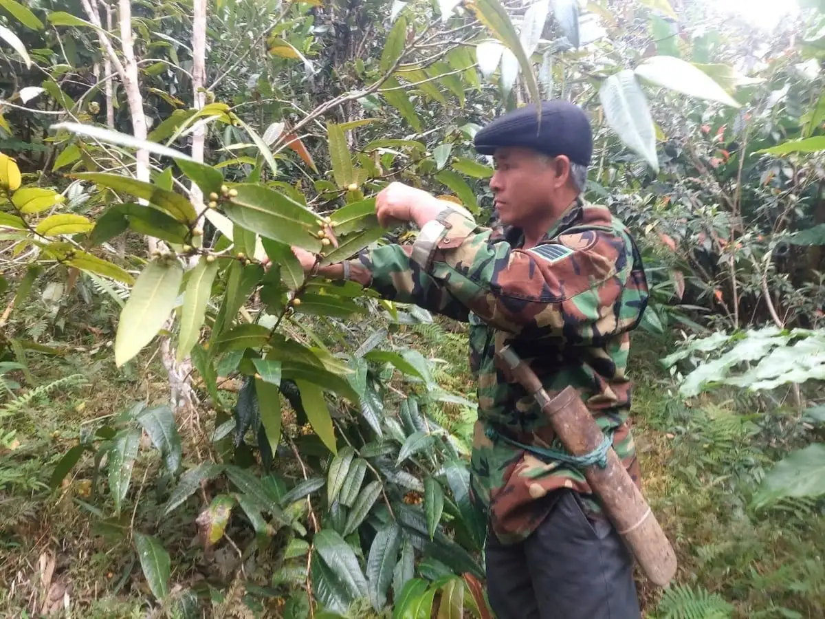 Gieo ‘sinh kế xanh’ nơi núi rừng biên cương